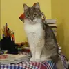 Отзыв от Виктория Маркелова